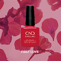 SHELLAC FIRST LOVE